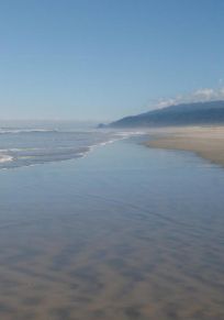 West Coast Bölgesi