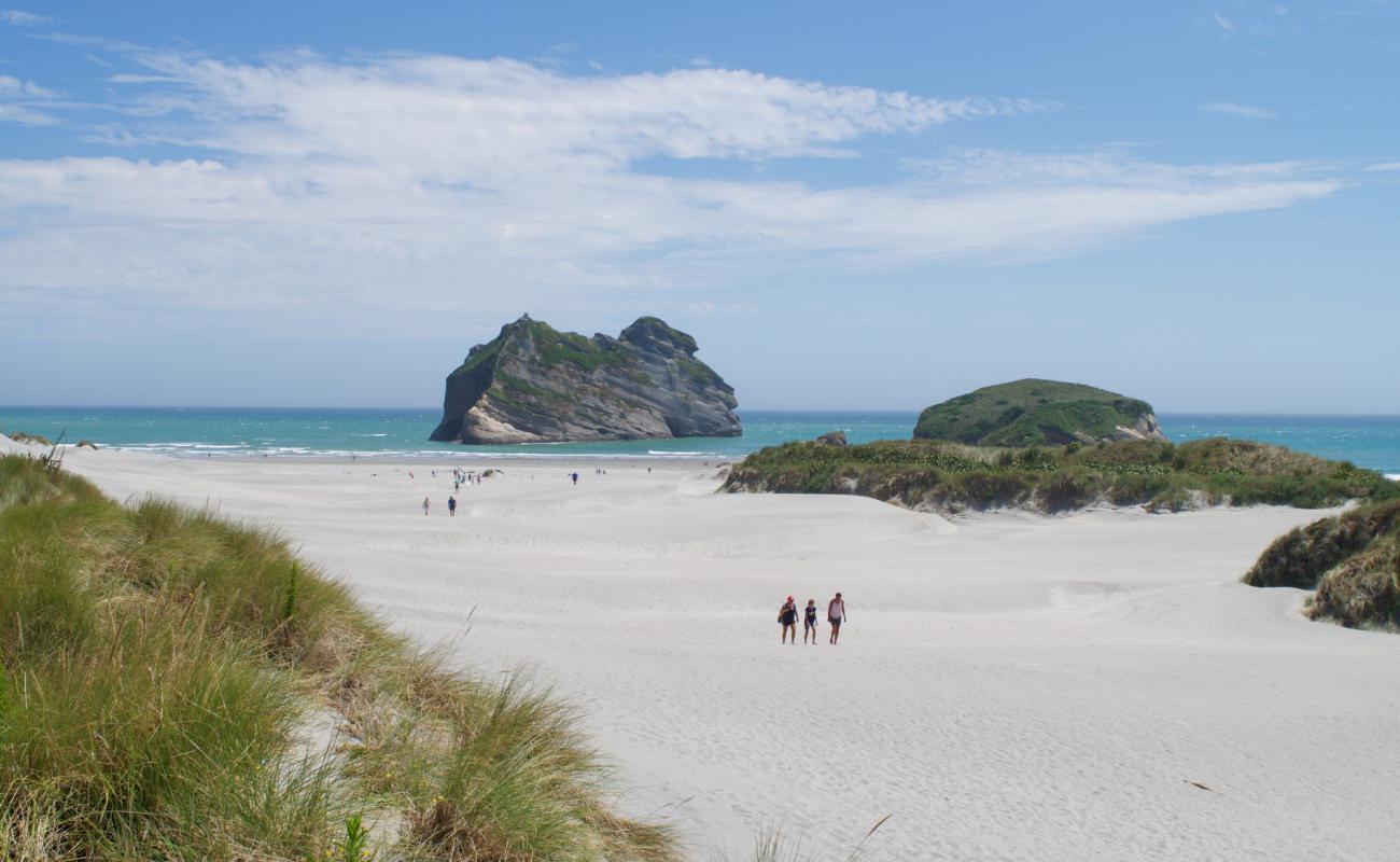 Wharariki Beach'in fotoğrafı parlak kum yüzey ile