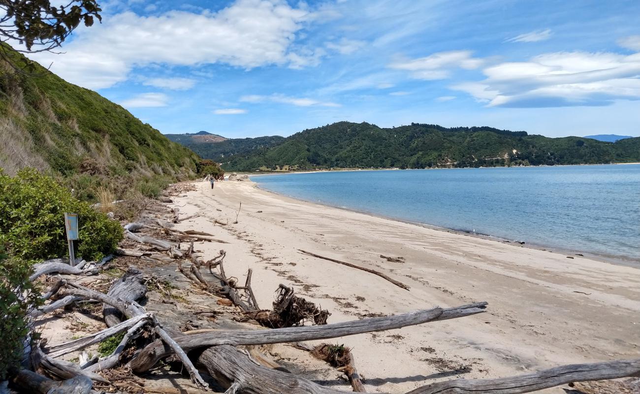 Wainui Beach'in fotoğrafı parlak kum yüzey ile