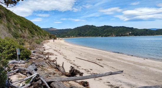 Wainui Beach