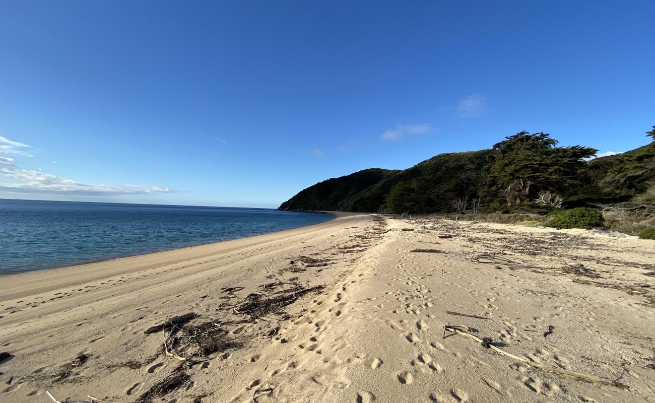 Whariwharangi Beach'in fotoğrafı parlak kum yüzey ile