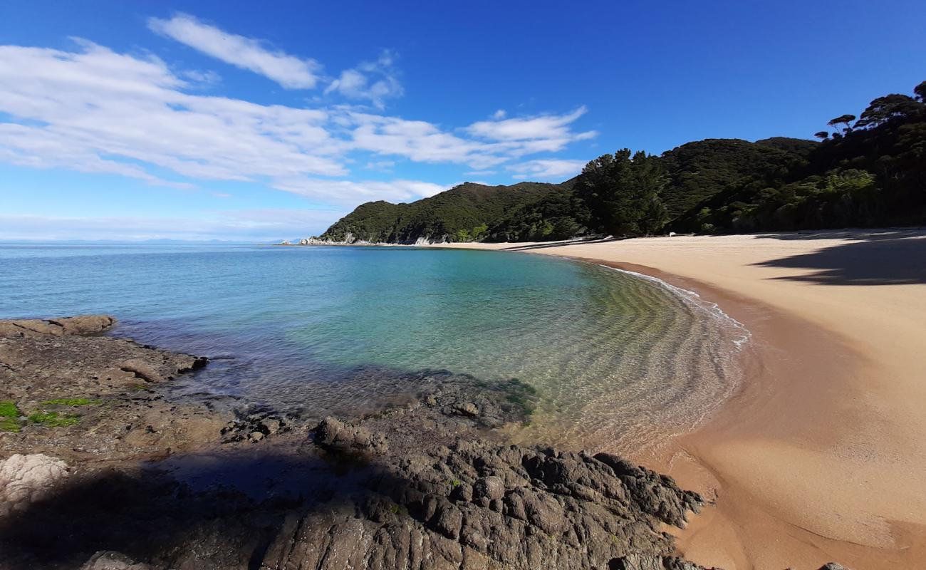 Mutton Beach'in fotoğrafı parlak kum yüzey ile