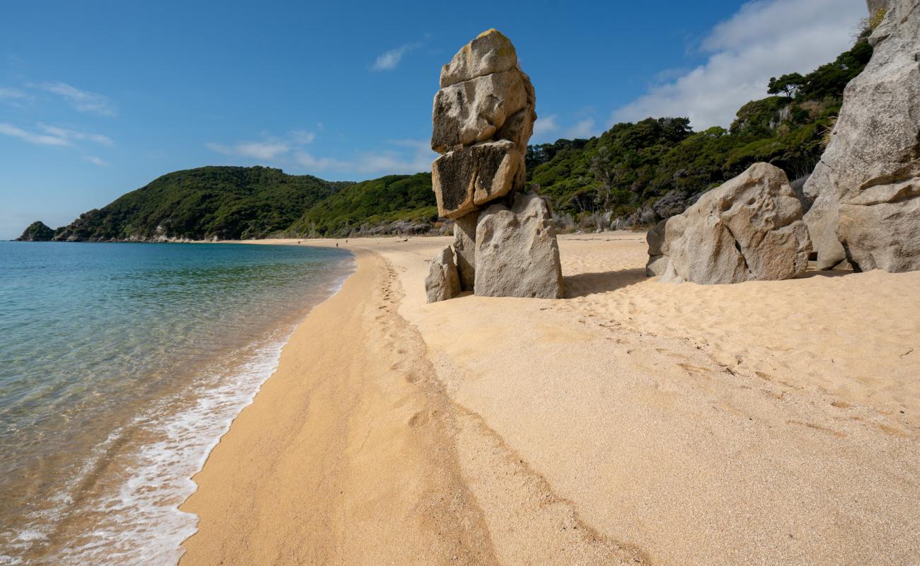 Anapai Beach'in fotoğrafı parlak ince kum yüzey ile