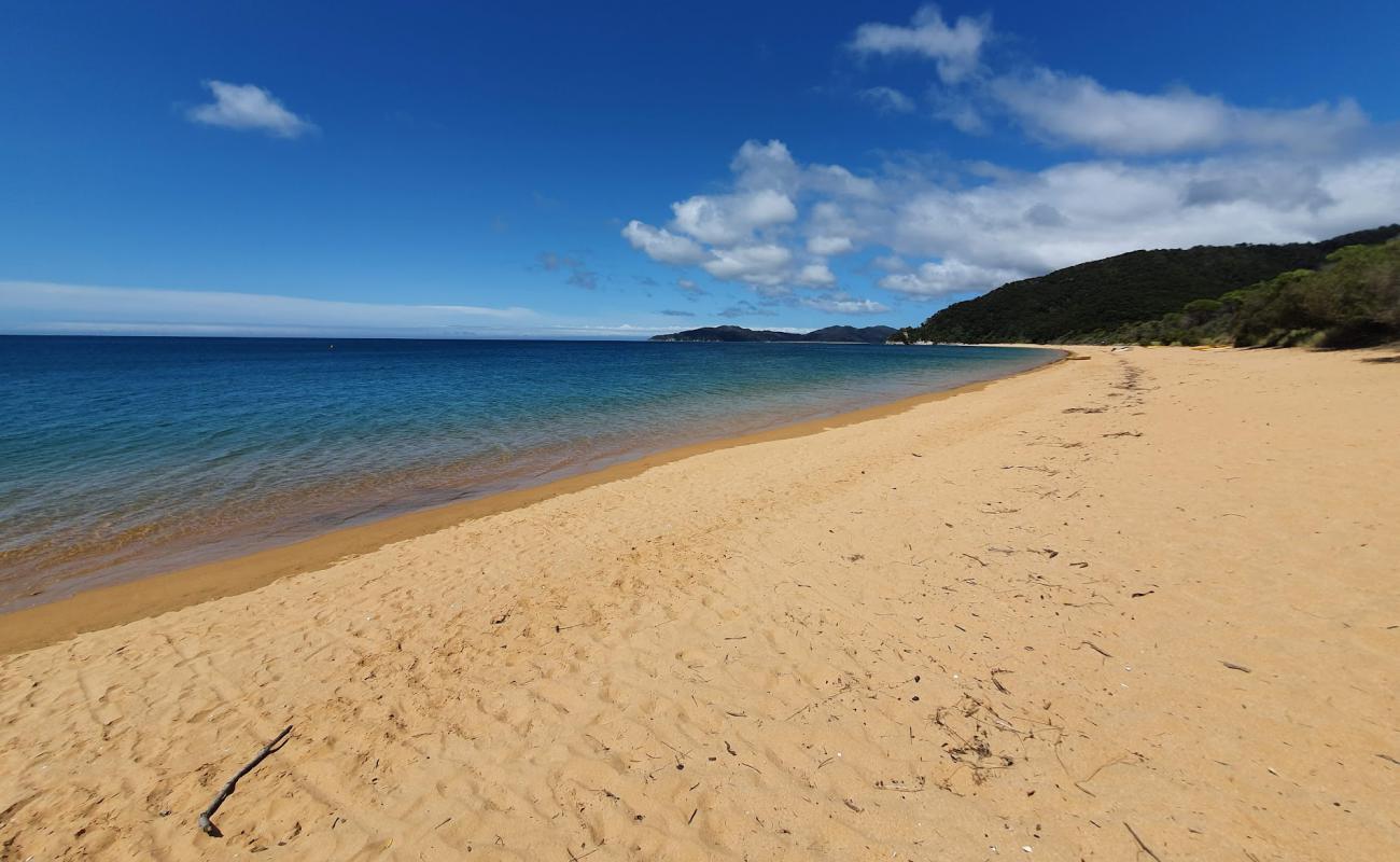 Totaranui Beach'in fotoğrafı parlak ince kum yüzey ile