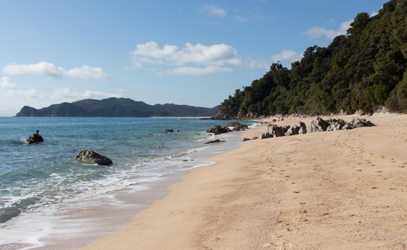 Goat Bay Beach'in fotoğrafı parlak ince kum yüzey ile