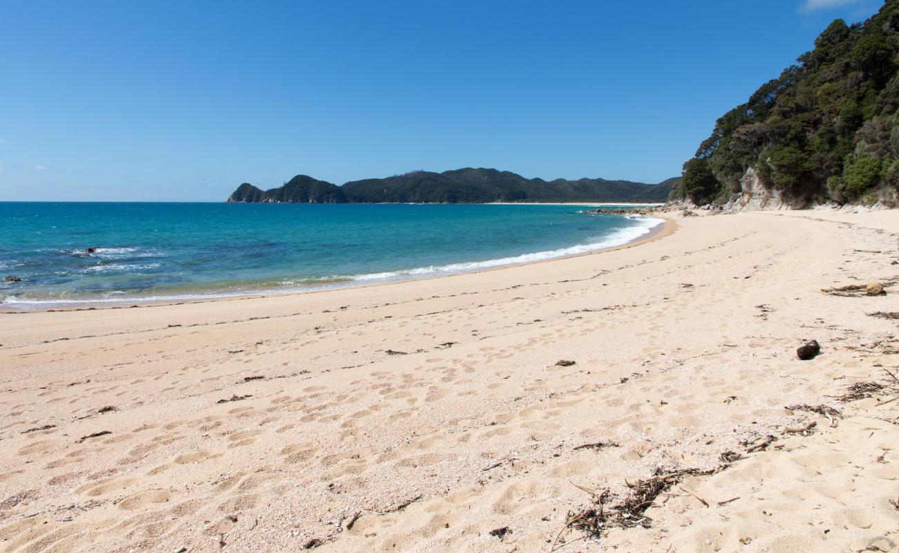 Waiharakeke Bay Beach'in fotoğrafı parlak ince kum yüzey ile