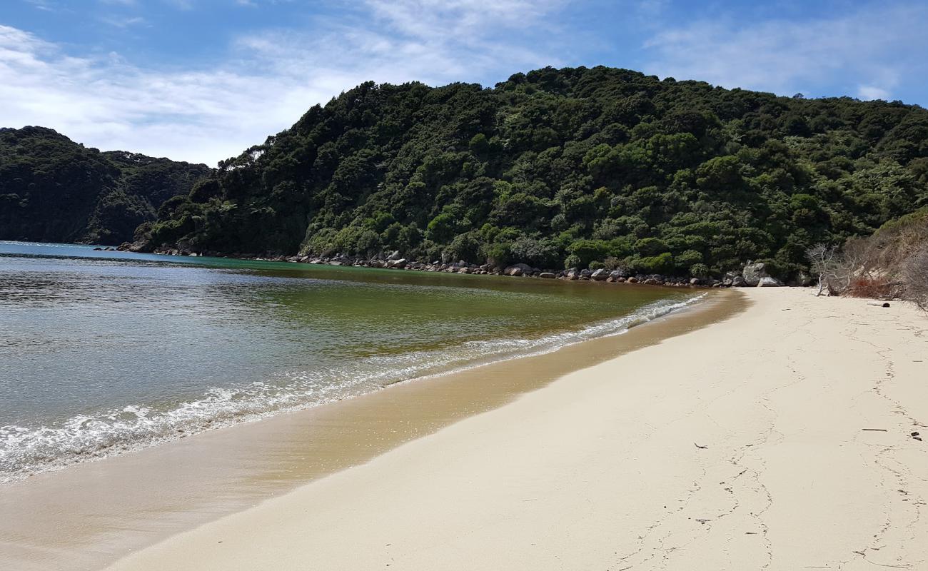 Awaroa Bay Beach'in fotoğrafı i̇nce bej kum yüzey ile