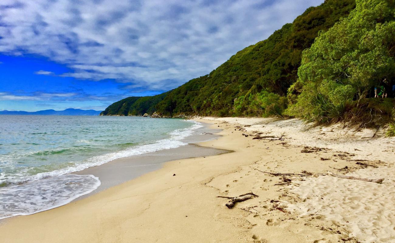 Tonga Quarry Beach'in fotoğrafı parlak ince kum yüzey ile