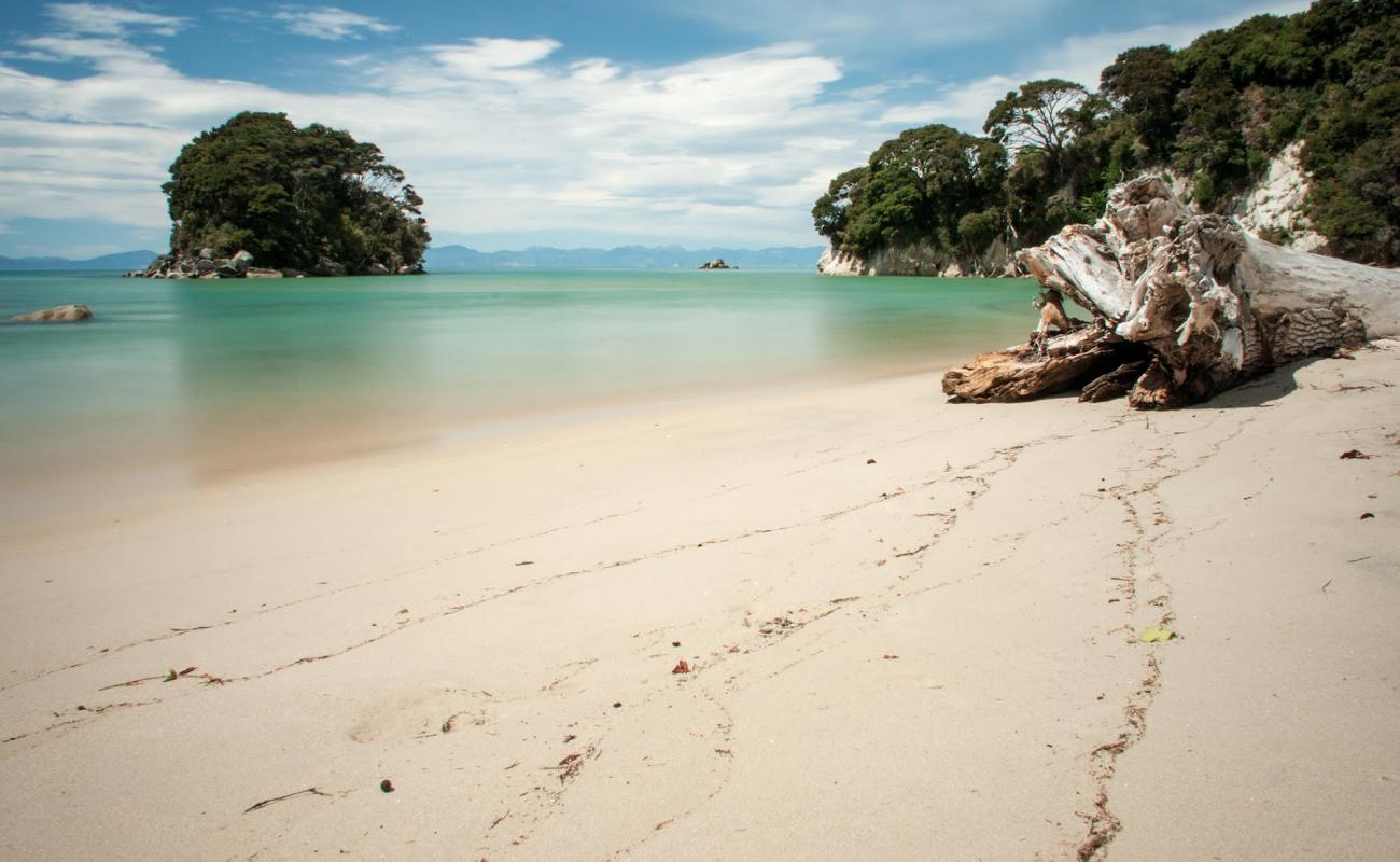 Mosquito Bay Beach'in fotoğrafı parlak kum yüzey ile