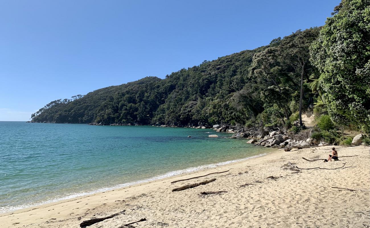 Bark Bay Beach'in fotoğrafı parlak ince kum yüzey ile