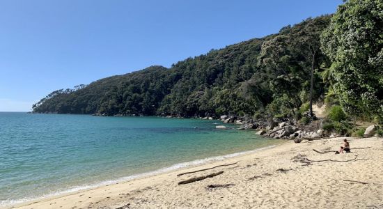 Bark Bay Beach