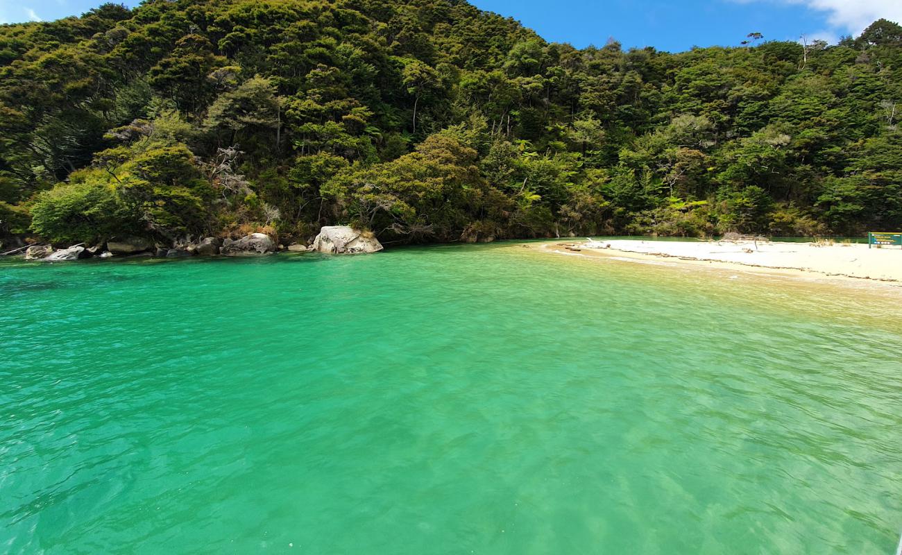 Medlands Beach'in fotoğrafı parlak ince kum yüzey ile