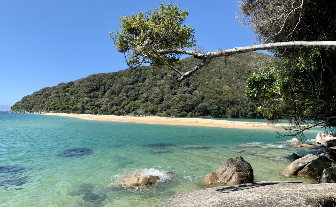 Falls River Beach'in fotoğrafı parlak ince kum yüzey ile