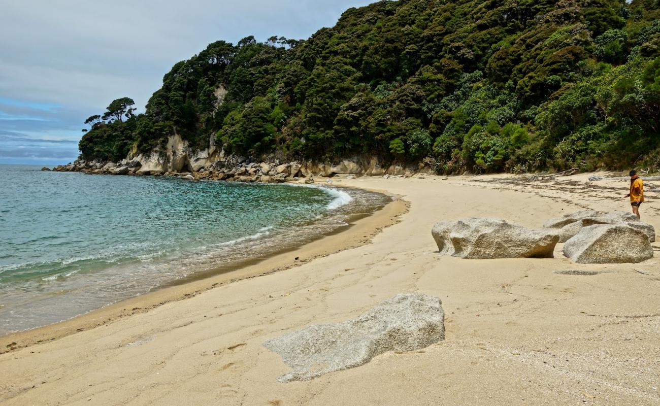 Torrent Bay Beach I'in fotoğrafı parlak ince kum yüzey ile