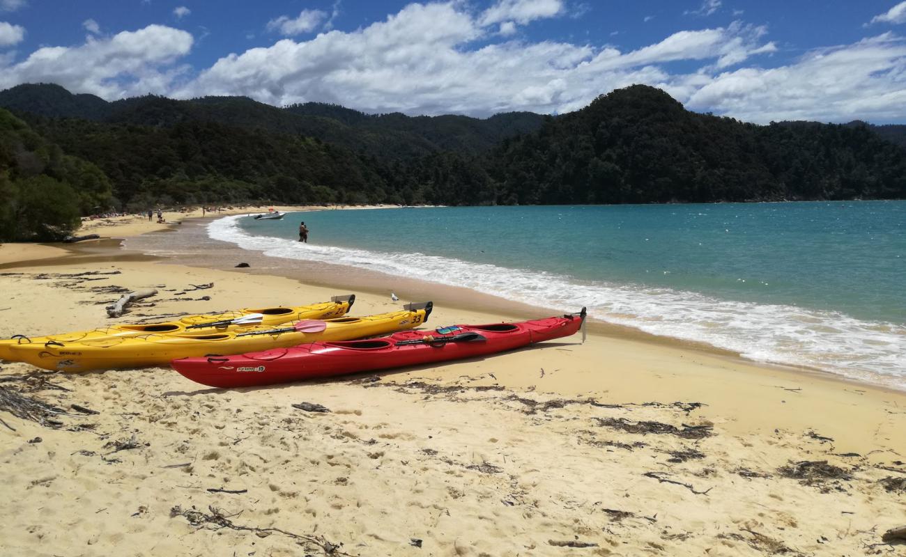 Anchorage Bay Abel Tasman'in fotoğrafı i̇nce bej kum yüzey ile