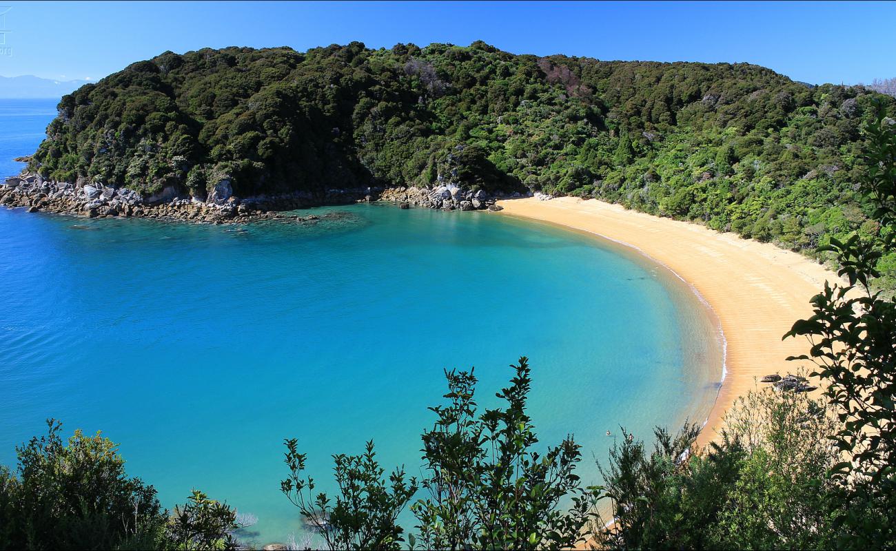 Te Pukatea Beach'in fotoğrafı parlak ince kum yüzey ile