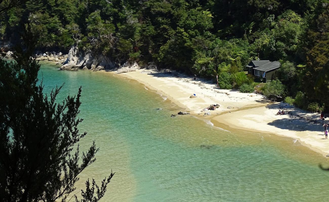 Stilwell Bay Beach'in fotoğrafı parlak kum yüzey ile