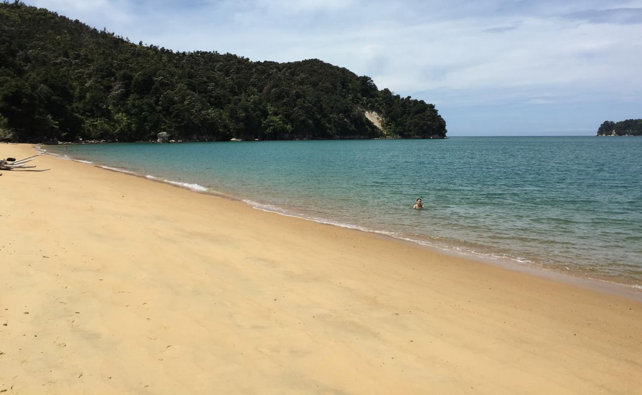 Coquille Bay Beach'in fotoğrafı parlak kum yüzey ile