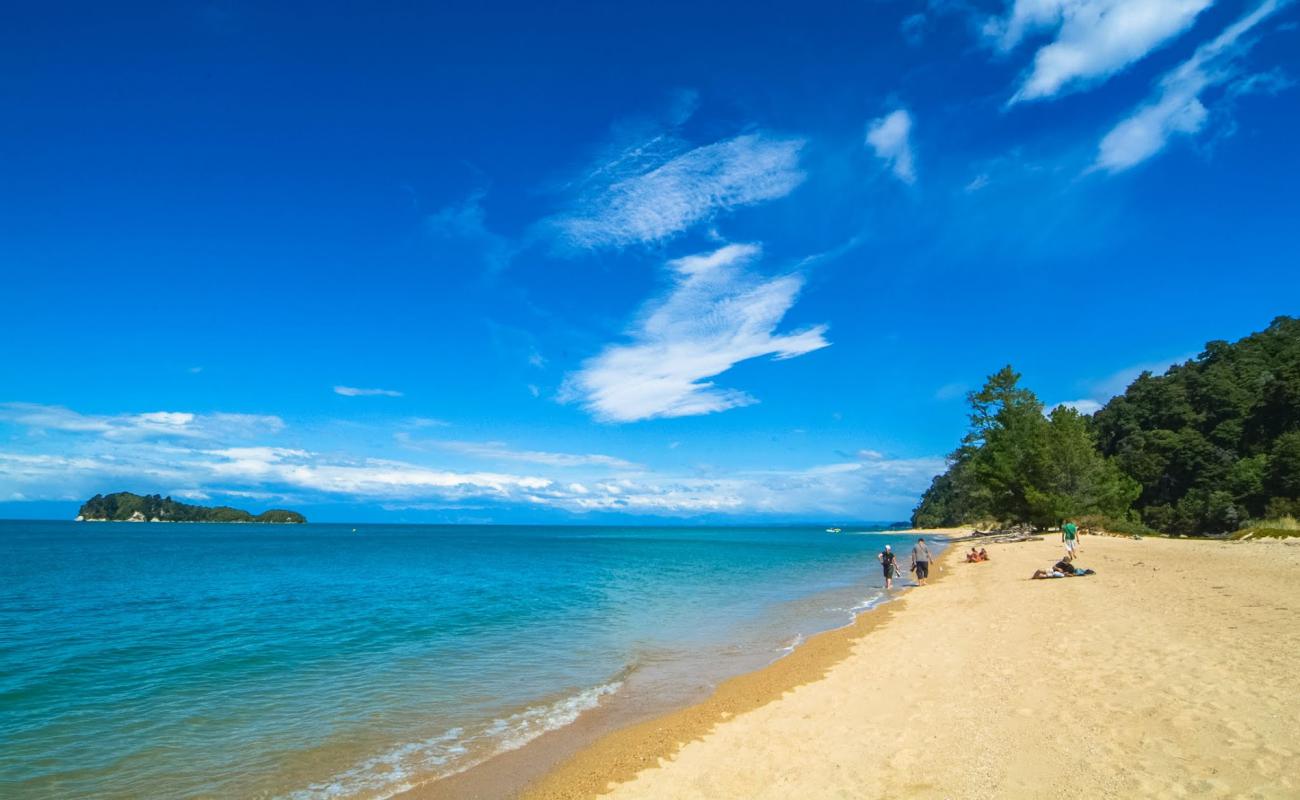 Ngaio Bay Beach'in fotoğrafı parlak kum yüzey ile