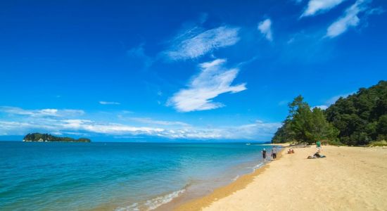 Ngaio Bay Beach