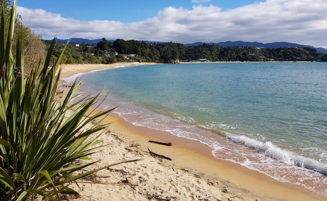 Little Kaiteriteri Beach'in fotoğrafı parlak kum yüzey ile