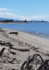 Port Motueka