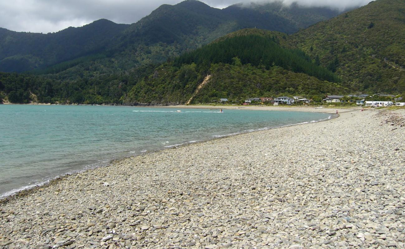 Okiwi Bay Beach'in fotoğrafı hafif ince çakıl taş yüzey ile