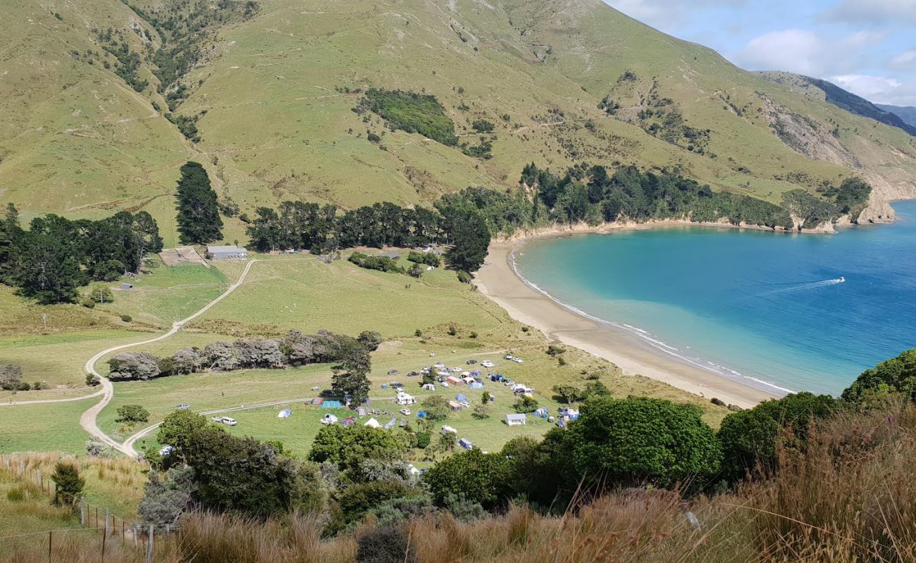 Titirangi Beach'in fotoğrafı parlak kum yüzey ile