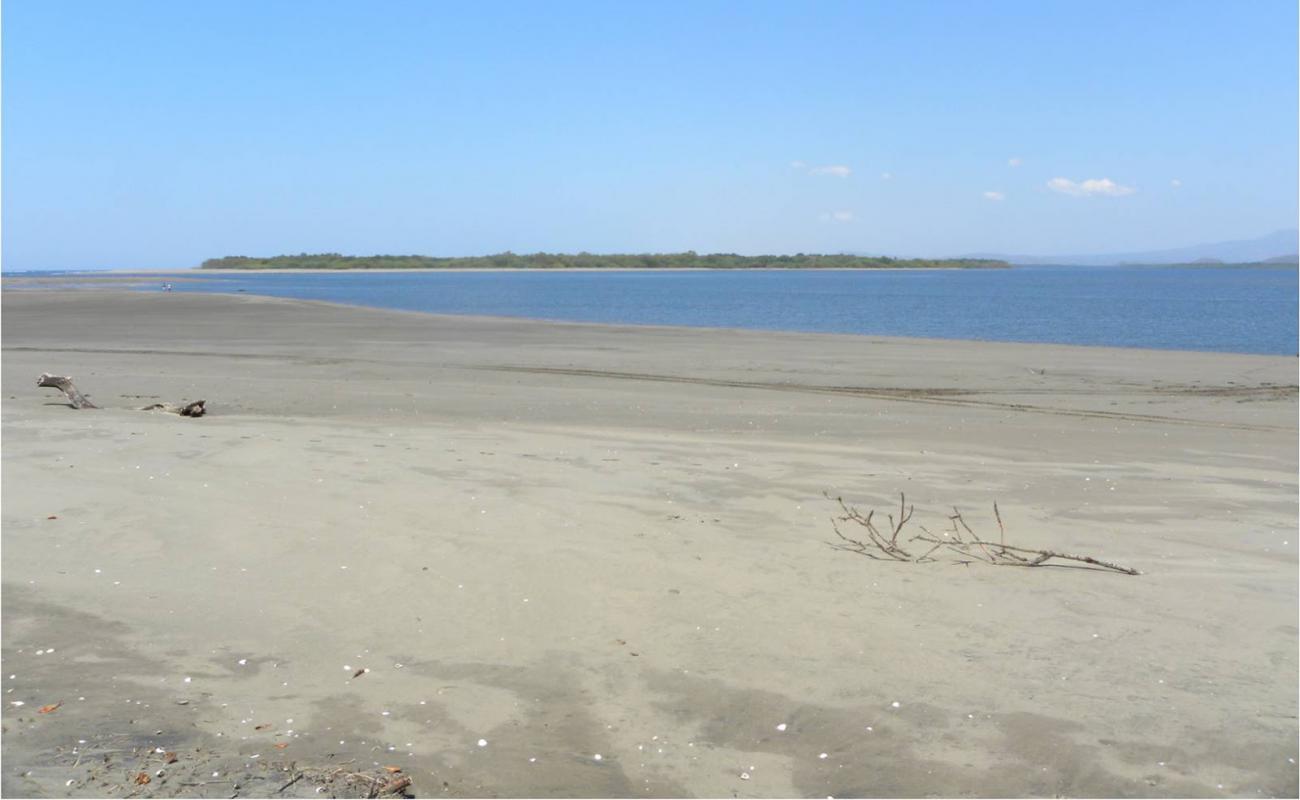 Mechapa beach'in fotoğrafı kahverengi kum yüzey ile