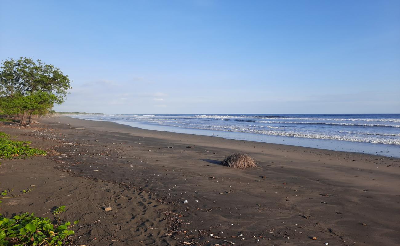 Los Zorros beach'in fotoğrafı kahverengi kum yüzey ile