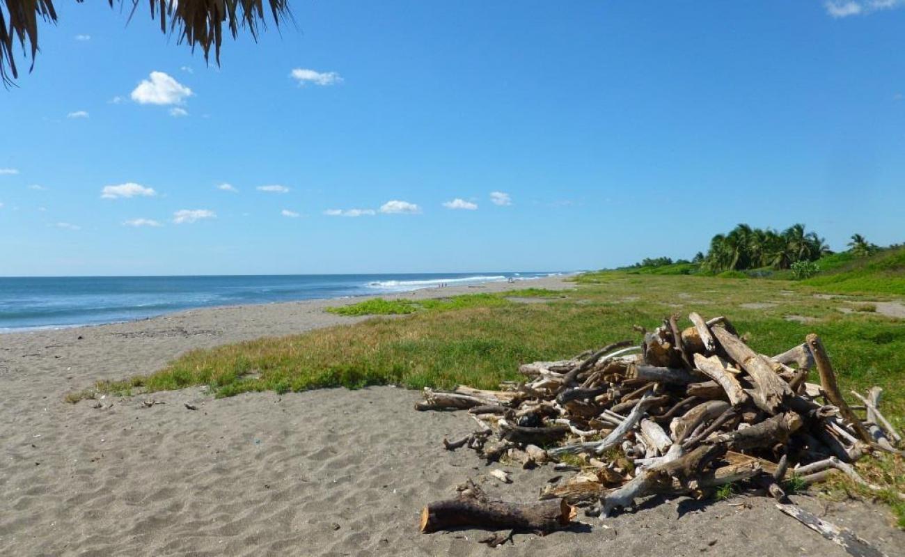 Surfing Turtle beach'in fotoğrafı açık bej kum yüzey ile