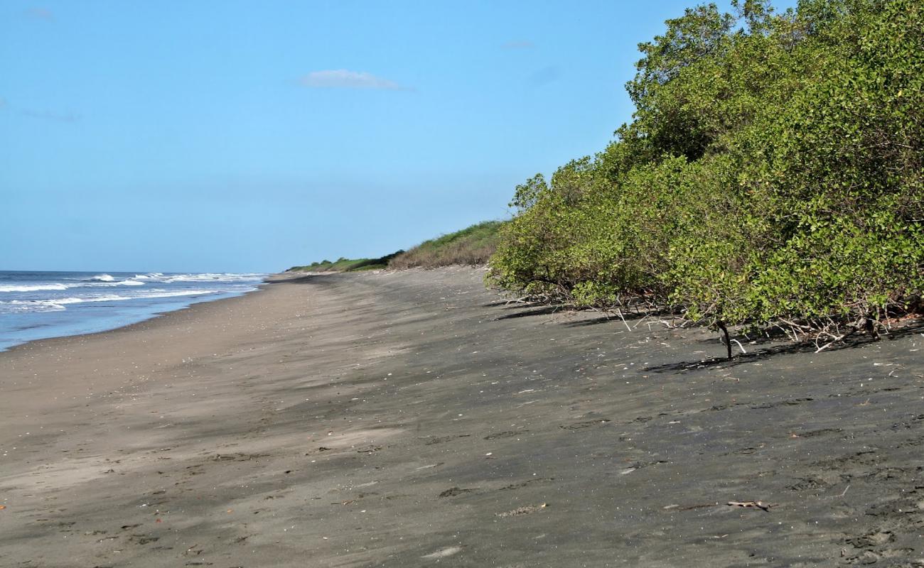 Reserva Natural beach'in fotoğrafı gri kum yüzey ile