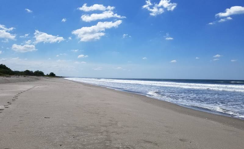 San Diego beach'in fotoğrafı gri kum yüzey ile