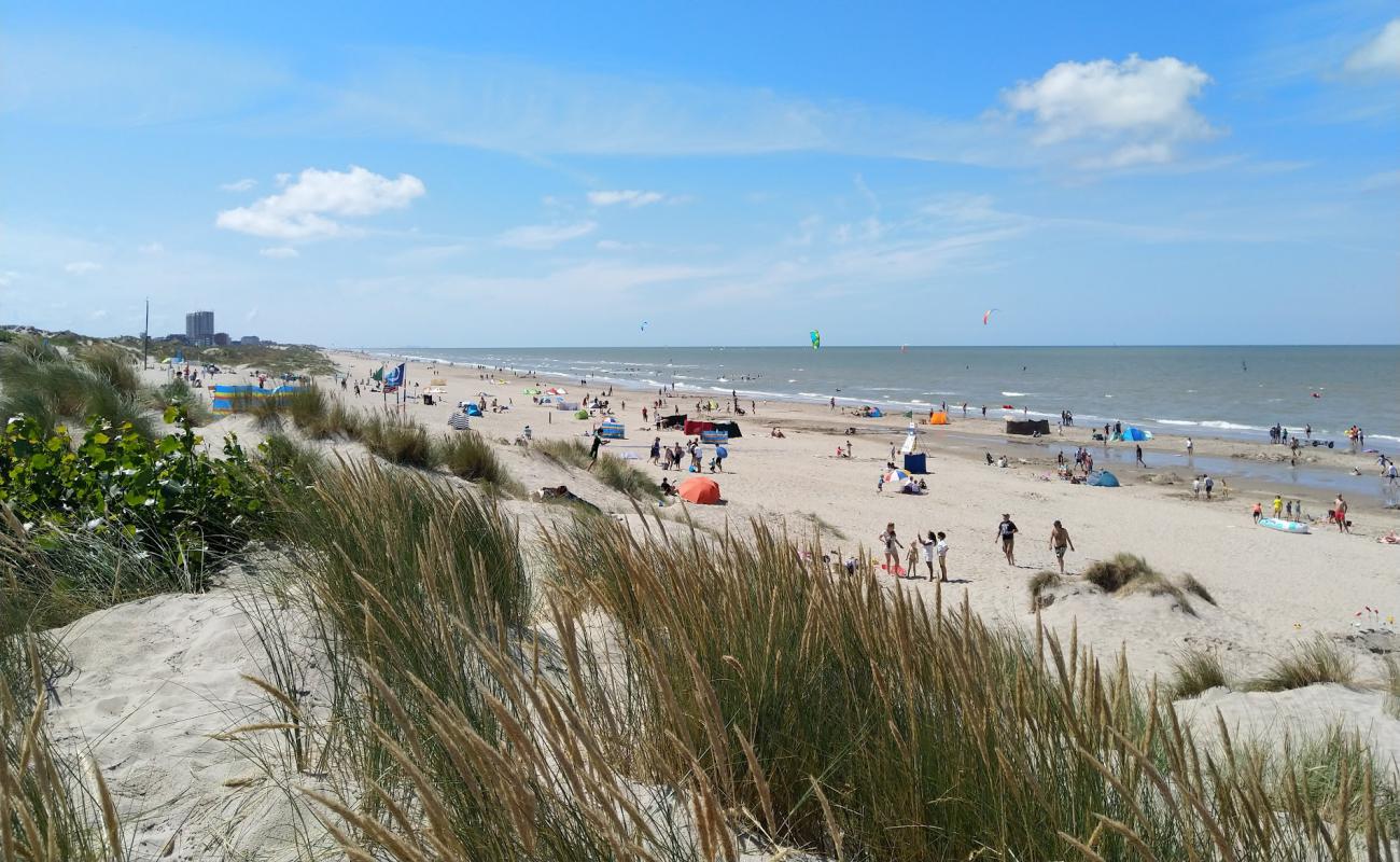 Groenendijk Strand'in fotoğrafı parlak kum yüzey ile