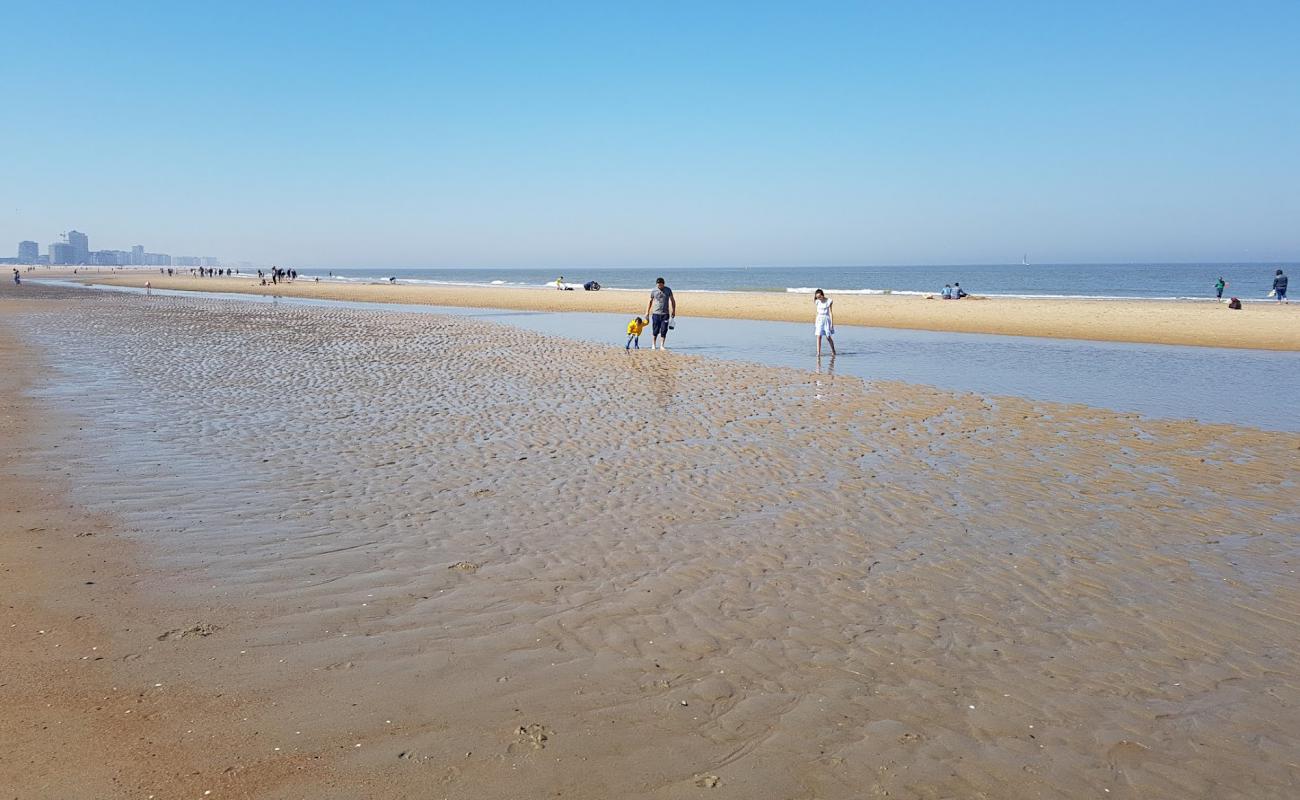 Oostende Plajı'in fotoğrafı parlak kum yüzey ile