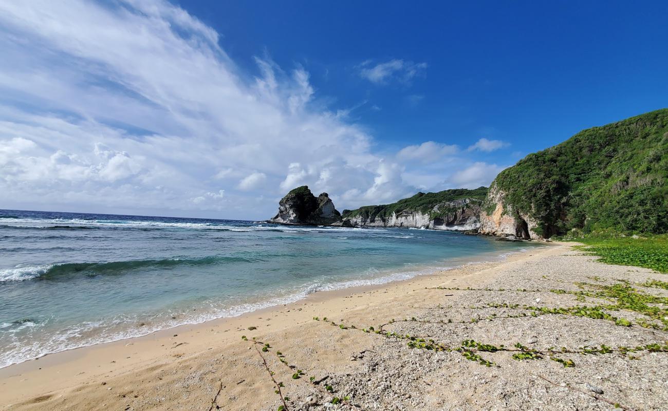 Bird Island Beach'in fotoğrafı bej kum ve çakıl yüzey ile