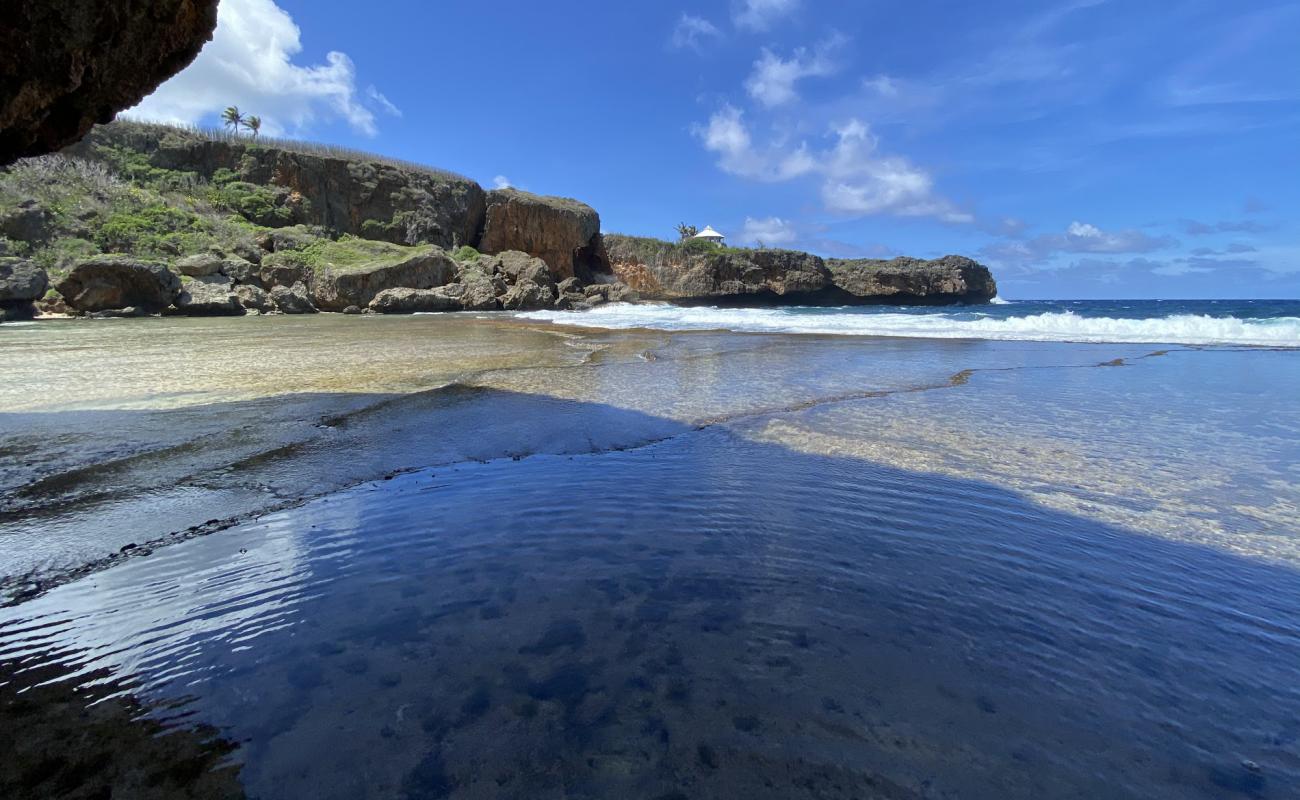 Jeffrey's Beach'in fotoğrafı bej kum ve çakıl yüzey ile