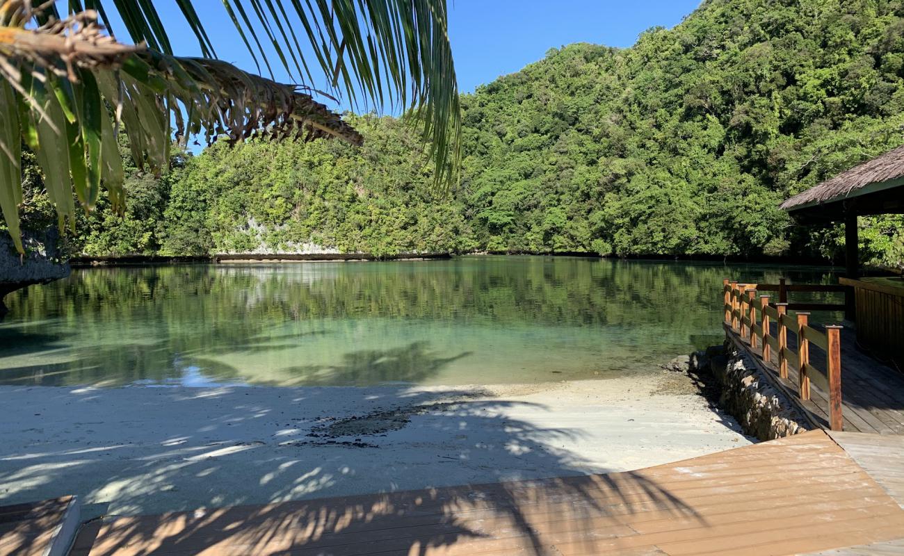 Sea Passion Hotel Beach'in fotoğrafı açık bej kum yüzey ile