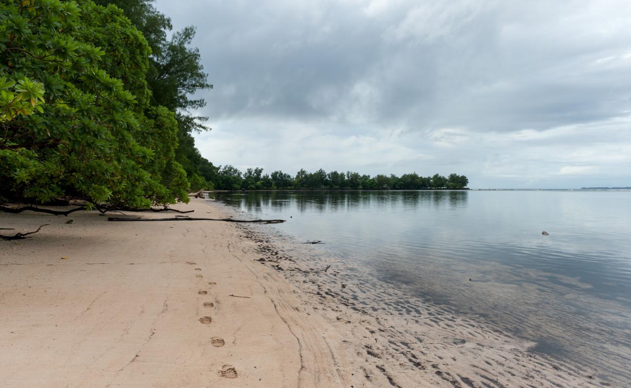 White Beach'in fotoğrafı açık bej kum yüzey ile