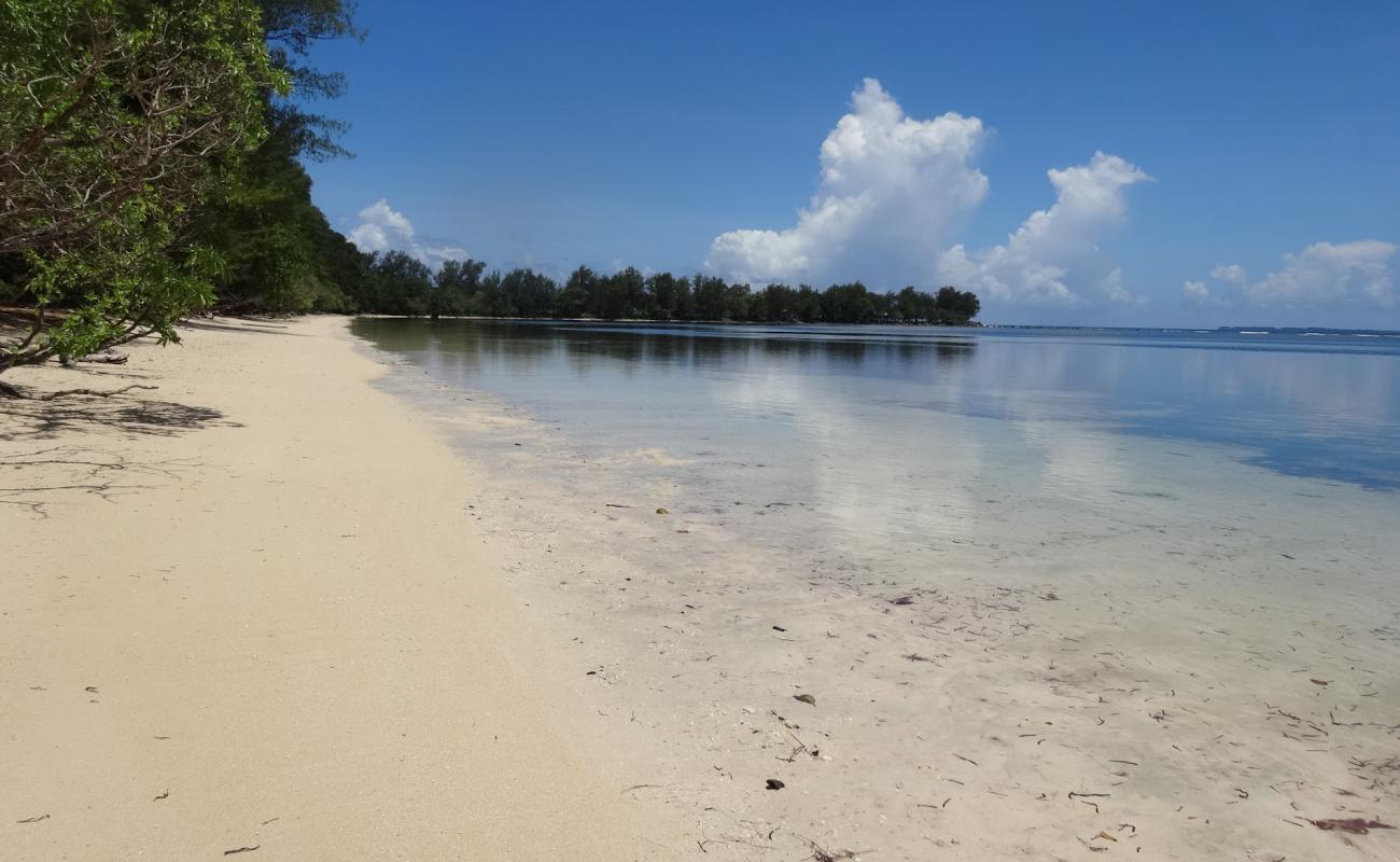 Orange Beach'in fotoğrafı açık bej kum yüzey ile
