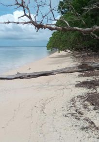 Peleliu Eyaleti