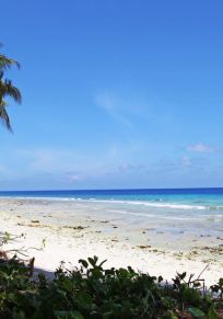 Peleliu Eyaleti