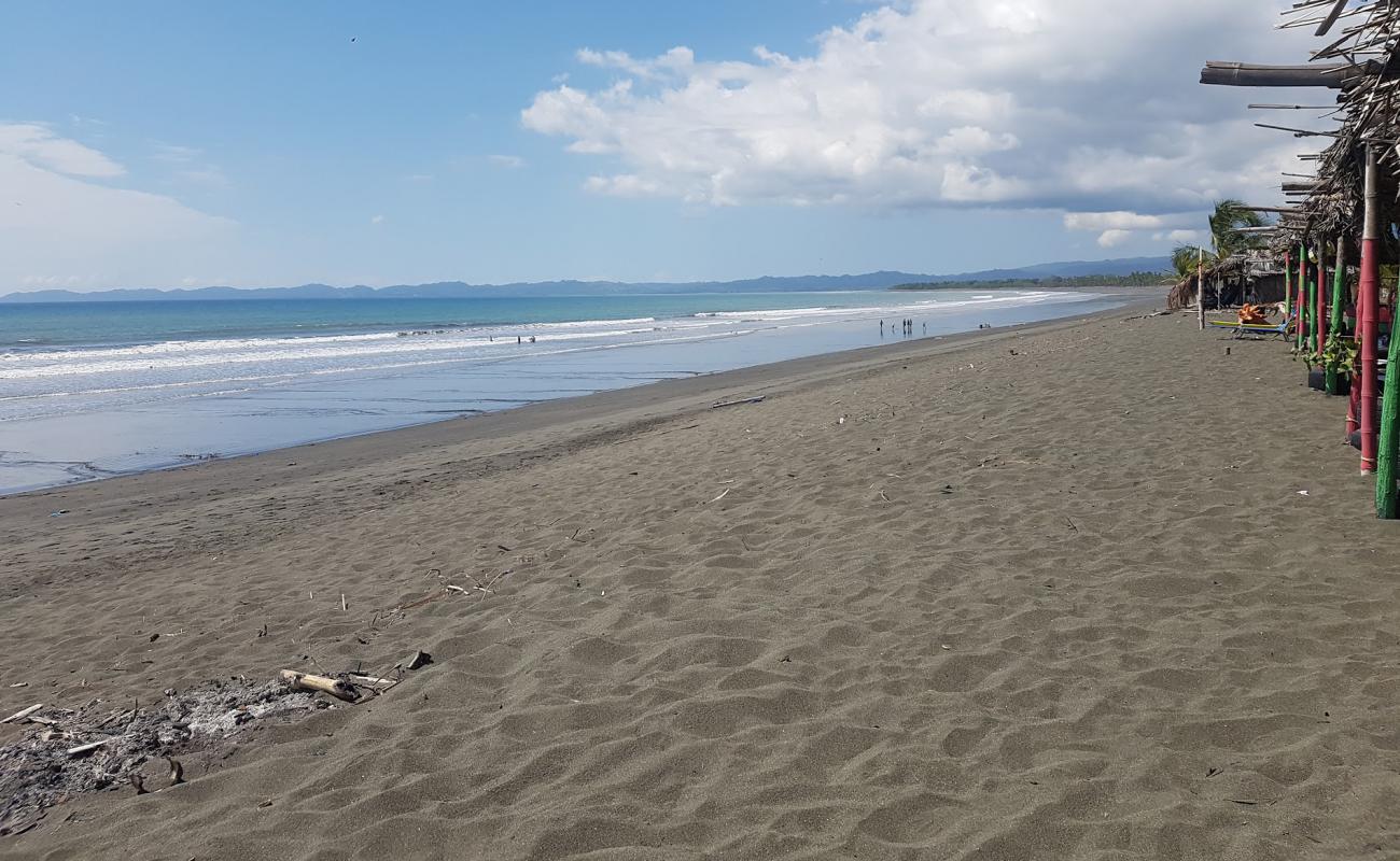 Playa De Los Olivos'in fotoğrafı kahverengi kum yüzey ile
