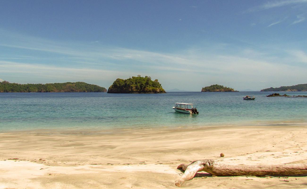 Isla Palenque beach'in fotoğrafı açık bej kum yüzey ile