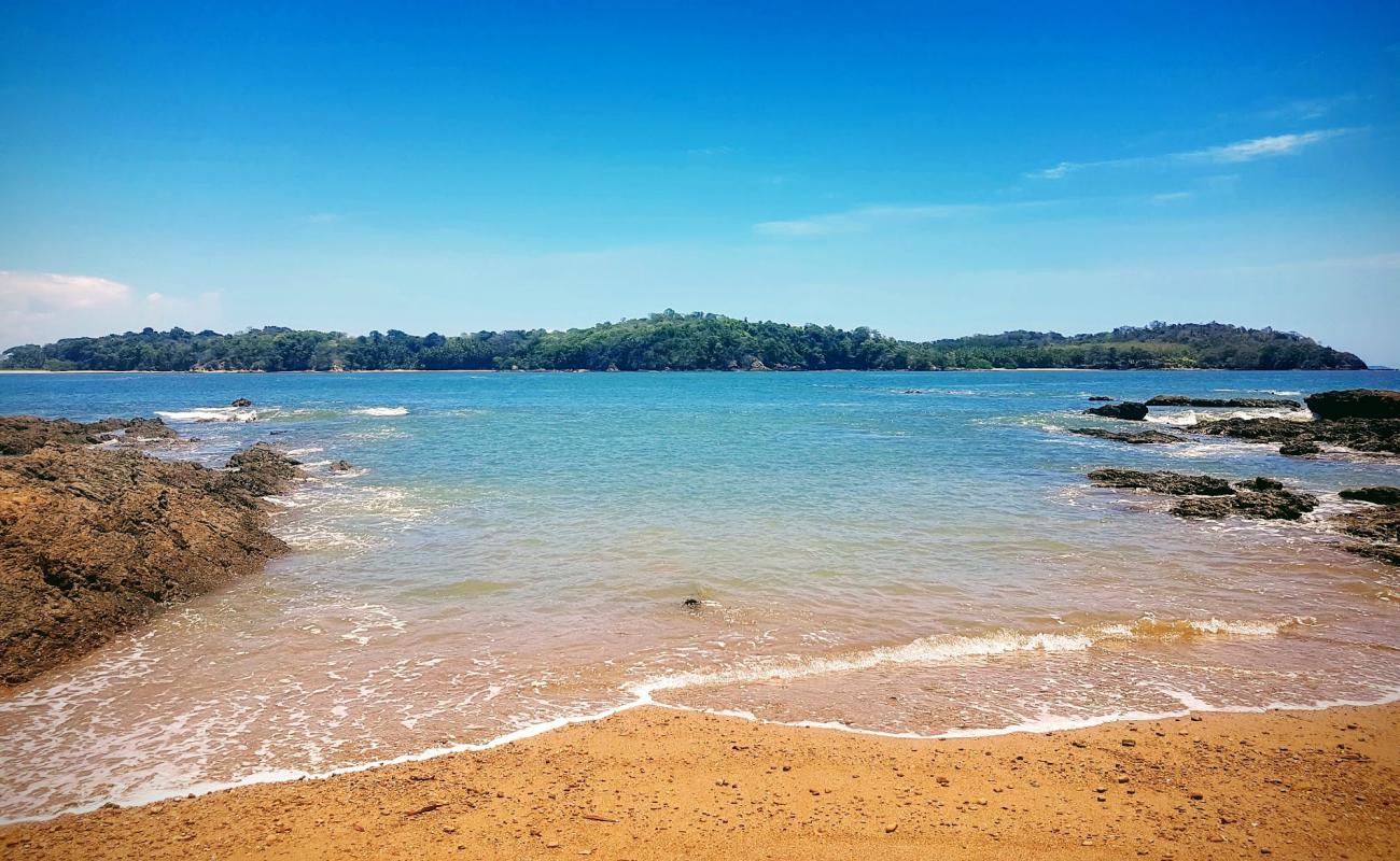 Playa Punta Bejuco'in fotoğrafı parlak kum yüzey ile