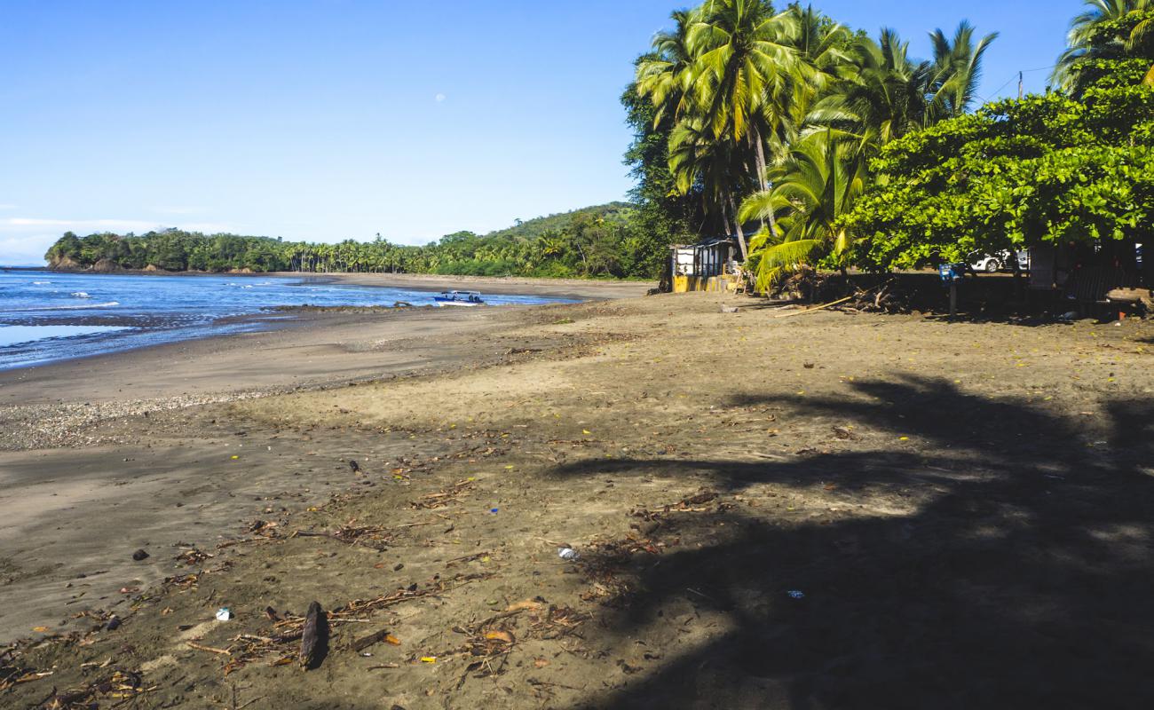 Santa Catalina Beach'in fotoğrafı parlak kum yüzey ile