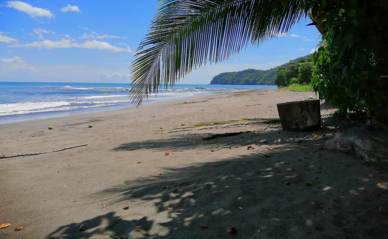 Bucaro Beach'in fotoğrafı kahverengi kum yüzey ile
