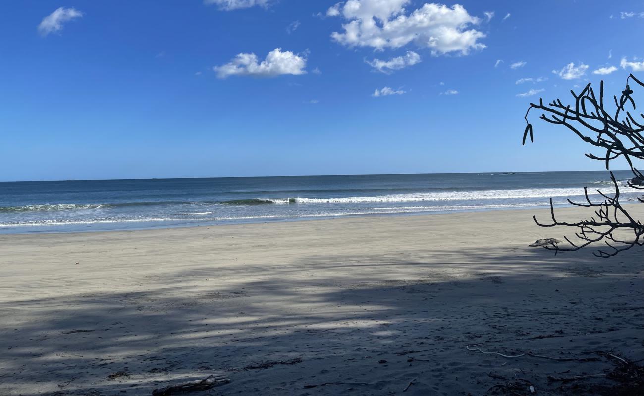 Madronito Beach'in fotoğrafı kahverengi kum yüzey ile