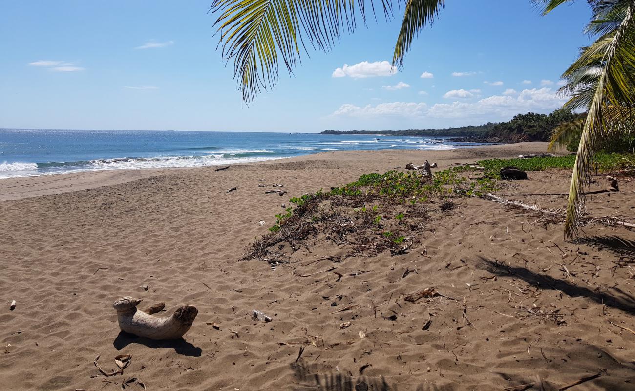 Destiladeros Beach'in fotoğrafı kahverengi kum yüzey ile