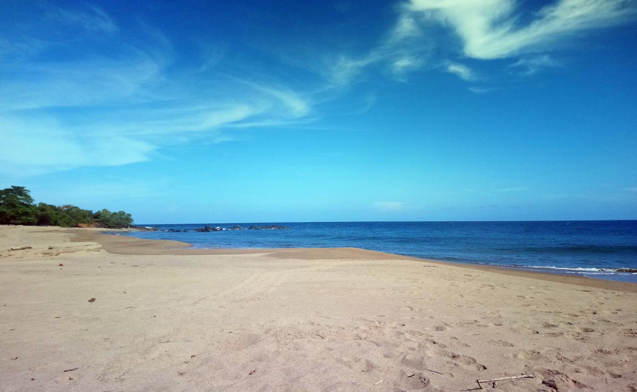 Lagart Point Beach'in fotoğrafı kahverengi kum yüzey ile